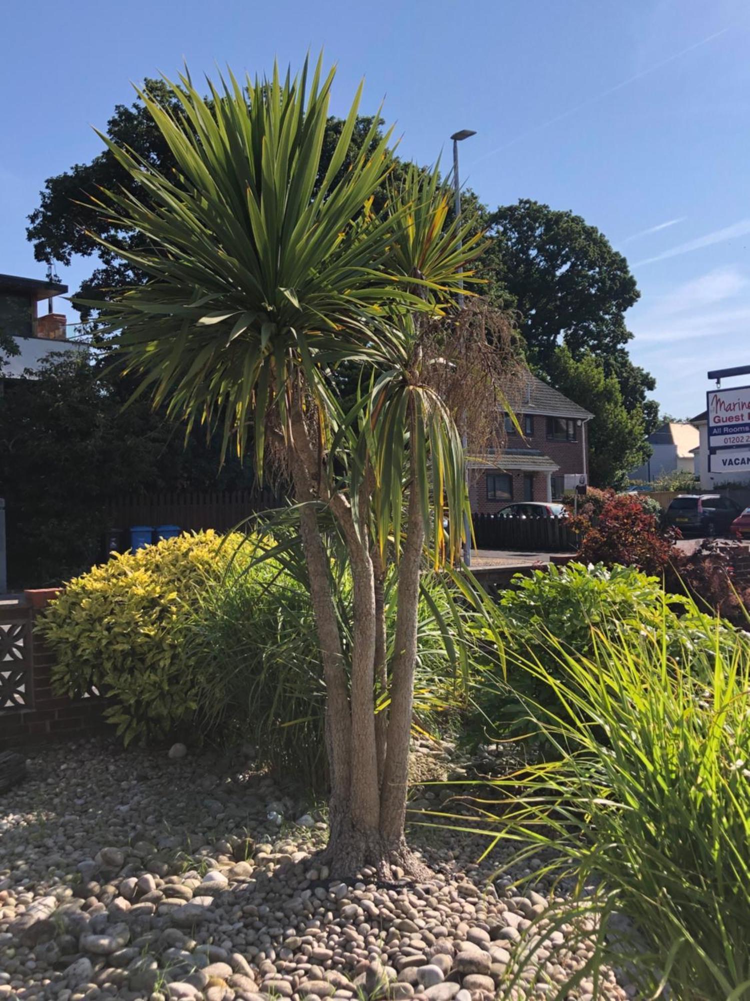 The Mariners Guest House Poole Kültér fotó